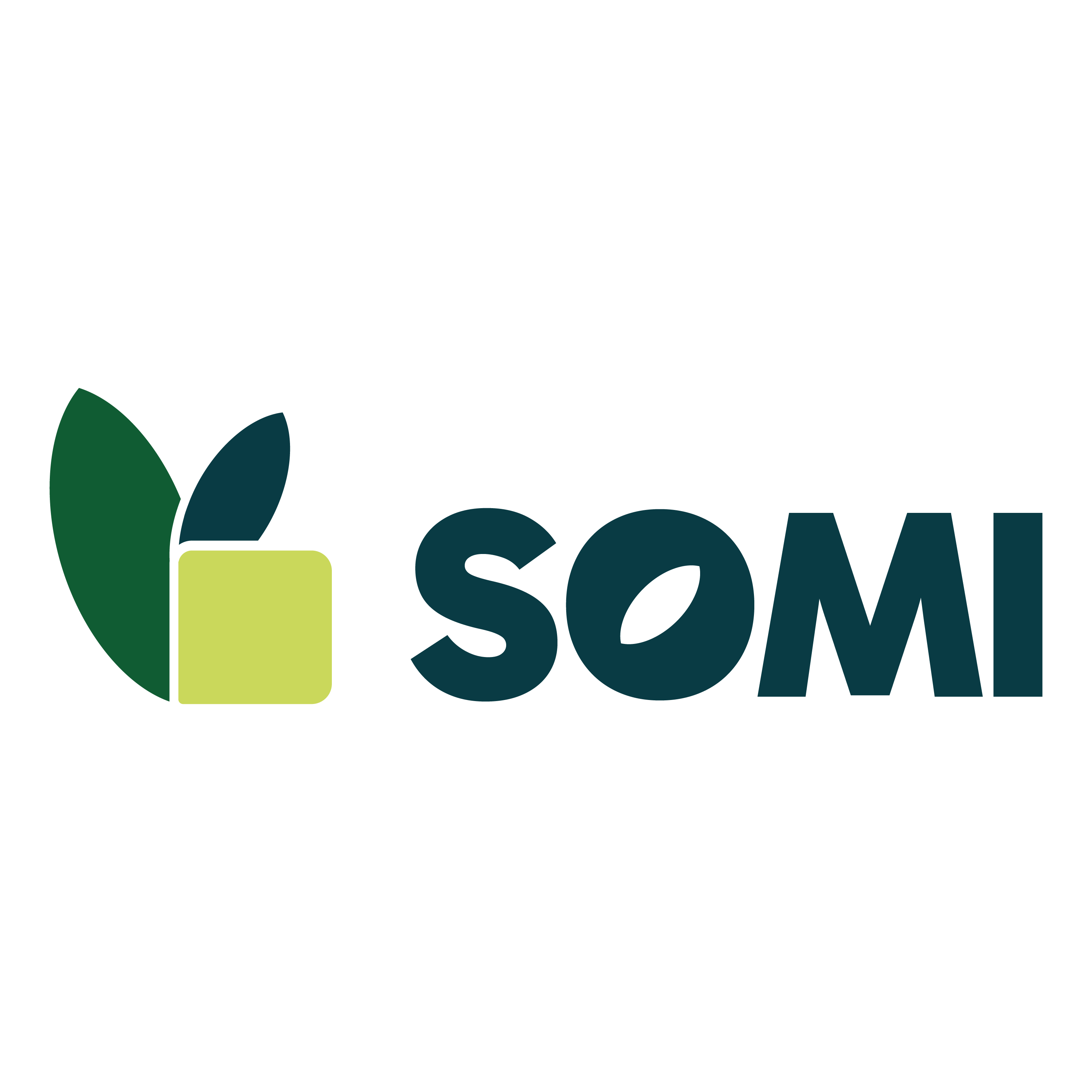 Somi-Logo
